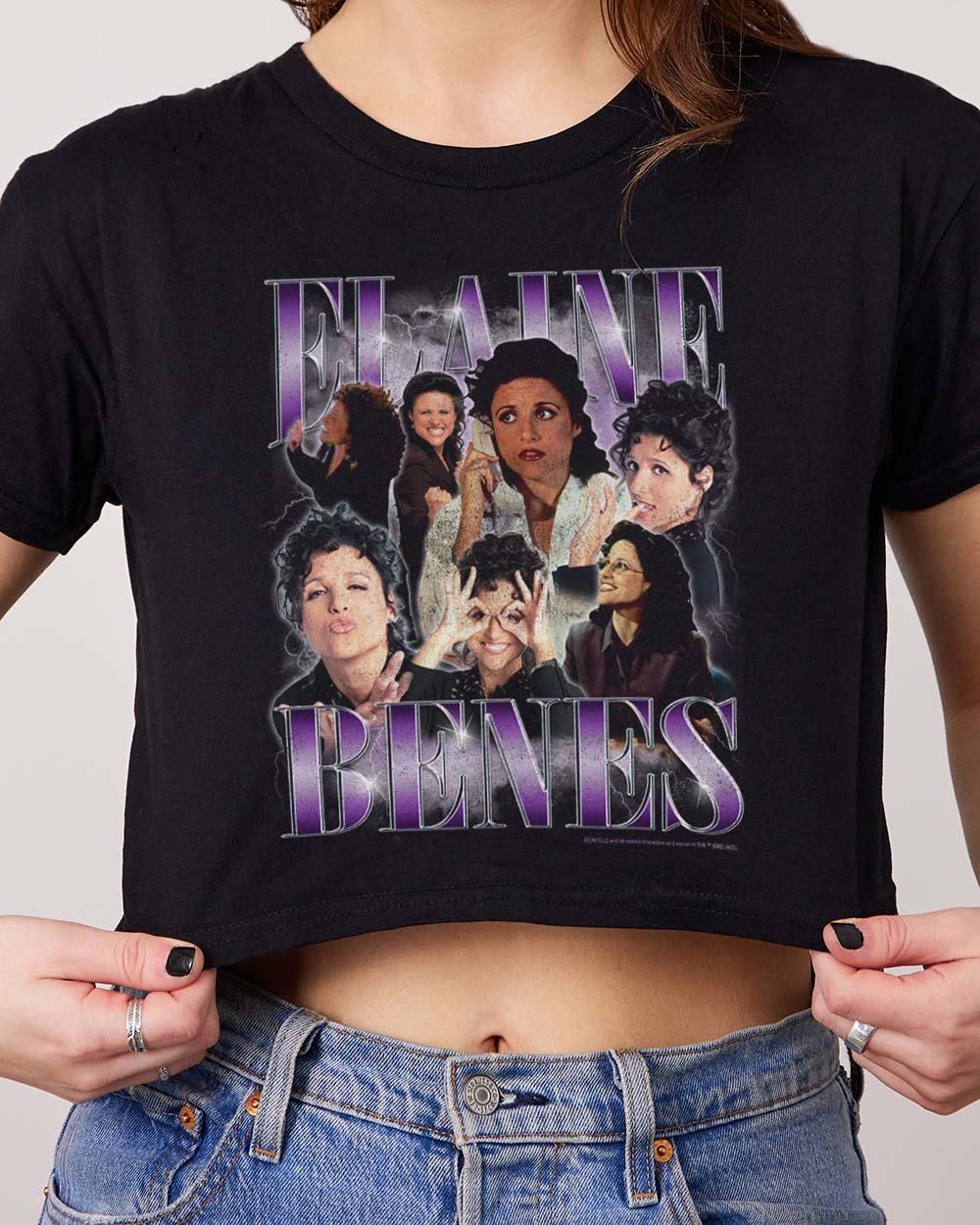 Vintage Elaine Crop Tee product image 2