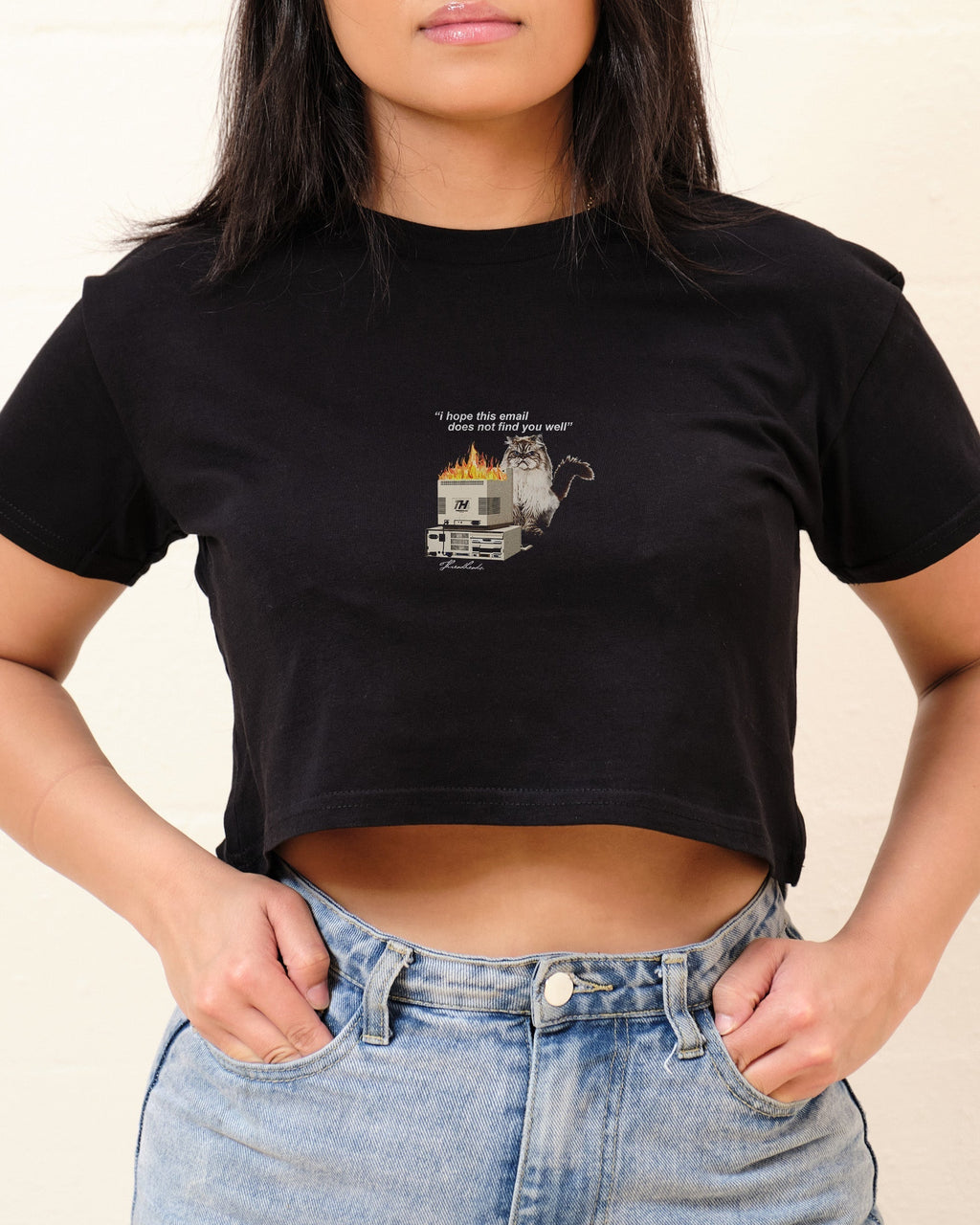 I Hope This Email Crop Tee product image 1