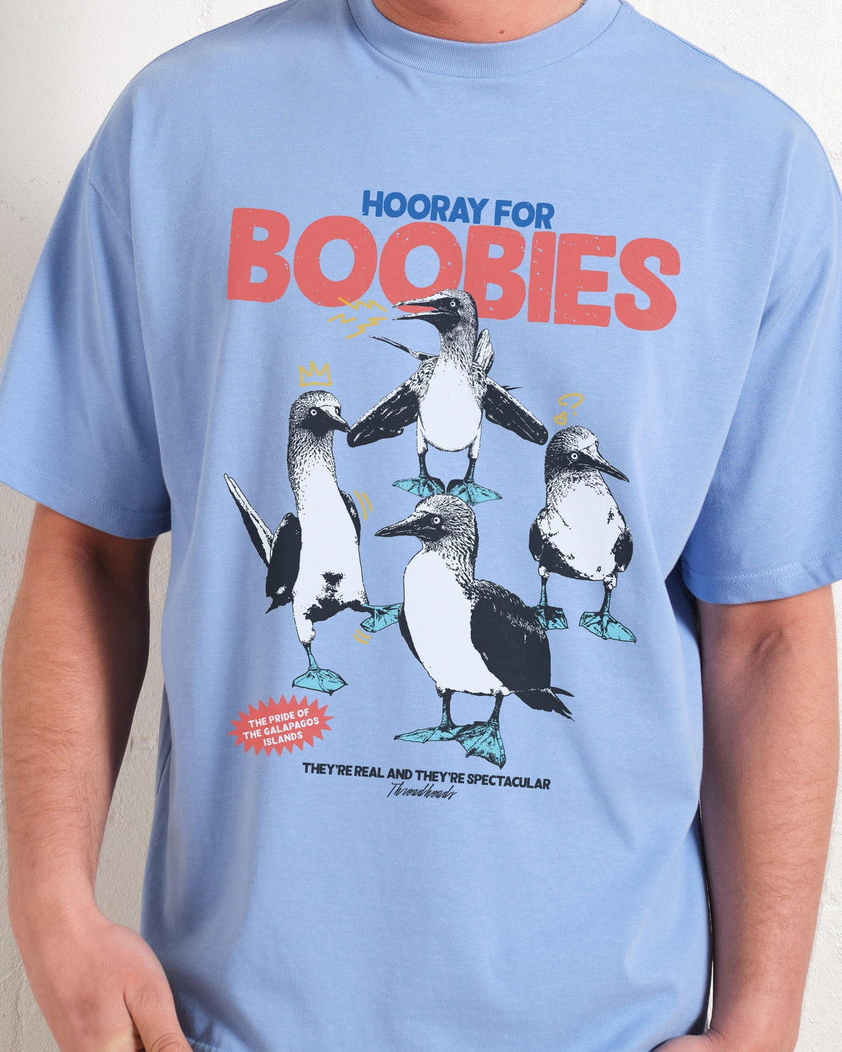 Hooray for Boobies Oversized Tee product image 3
