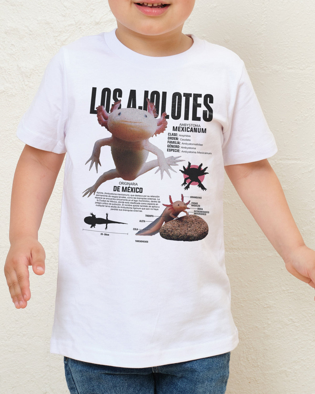 Los Ajolotes Kids T-Shirt product image 2