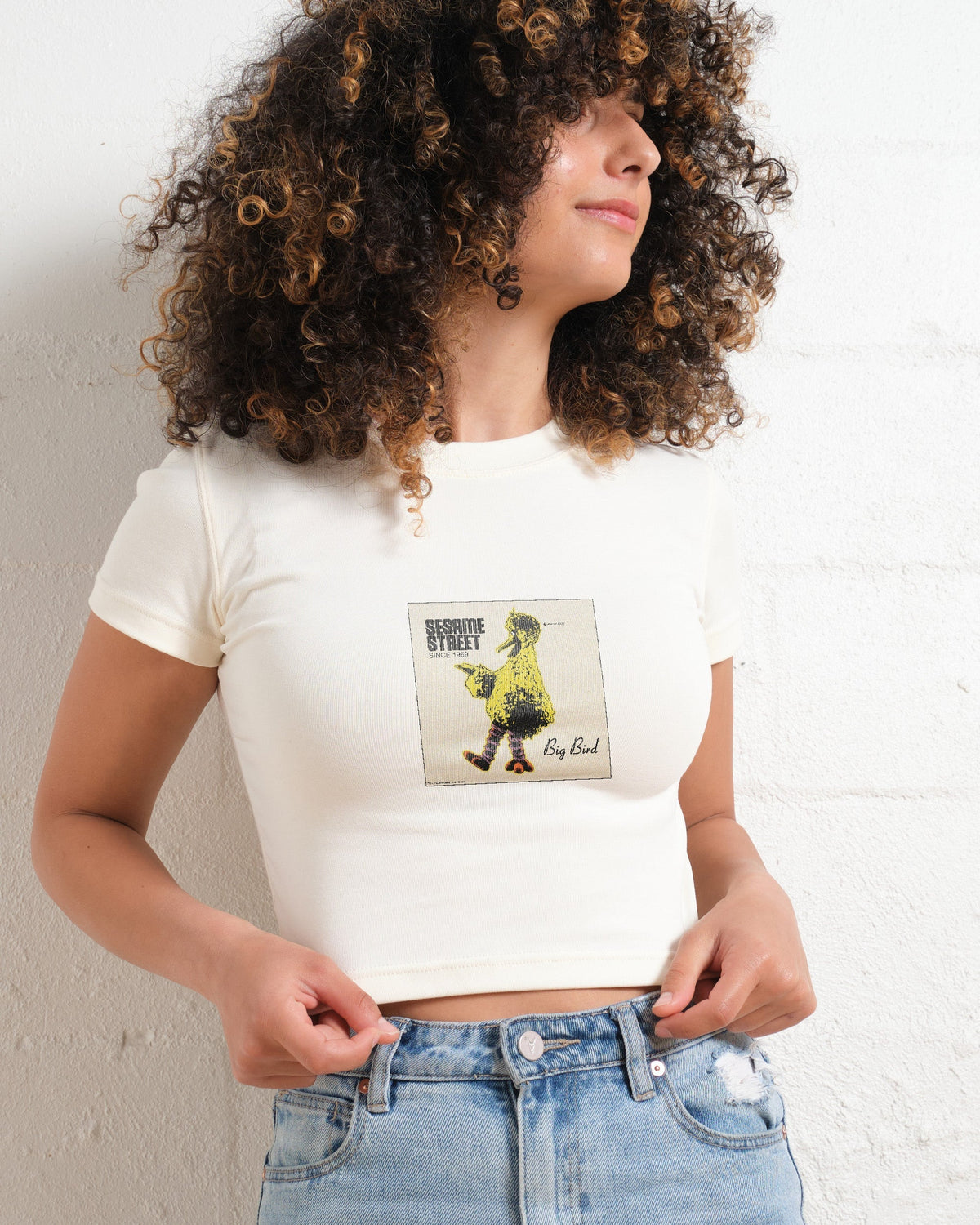 Big Bird Underground Baby Tee product image 1