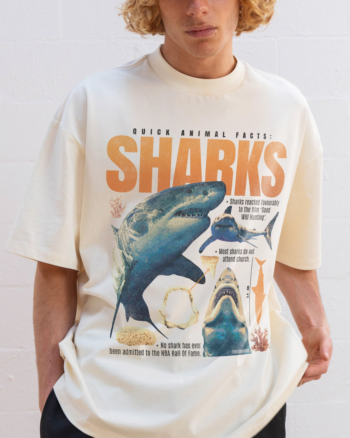 Quick Animal Facts - Sharks Oversized Tee product image 2