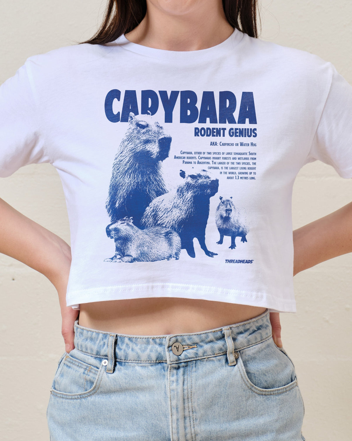 Capybara Rodent Genius Crop Tee product image 1