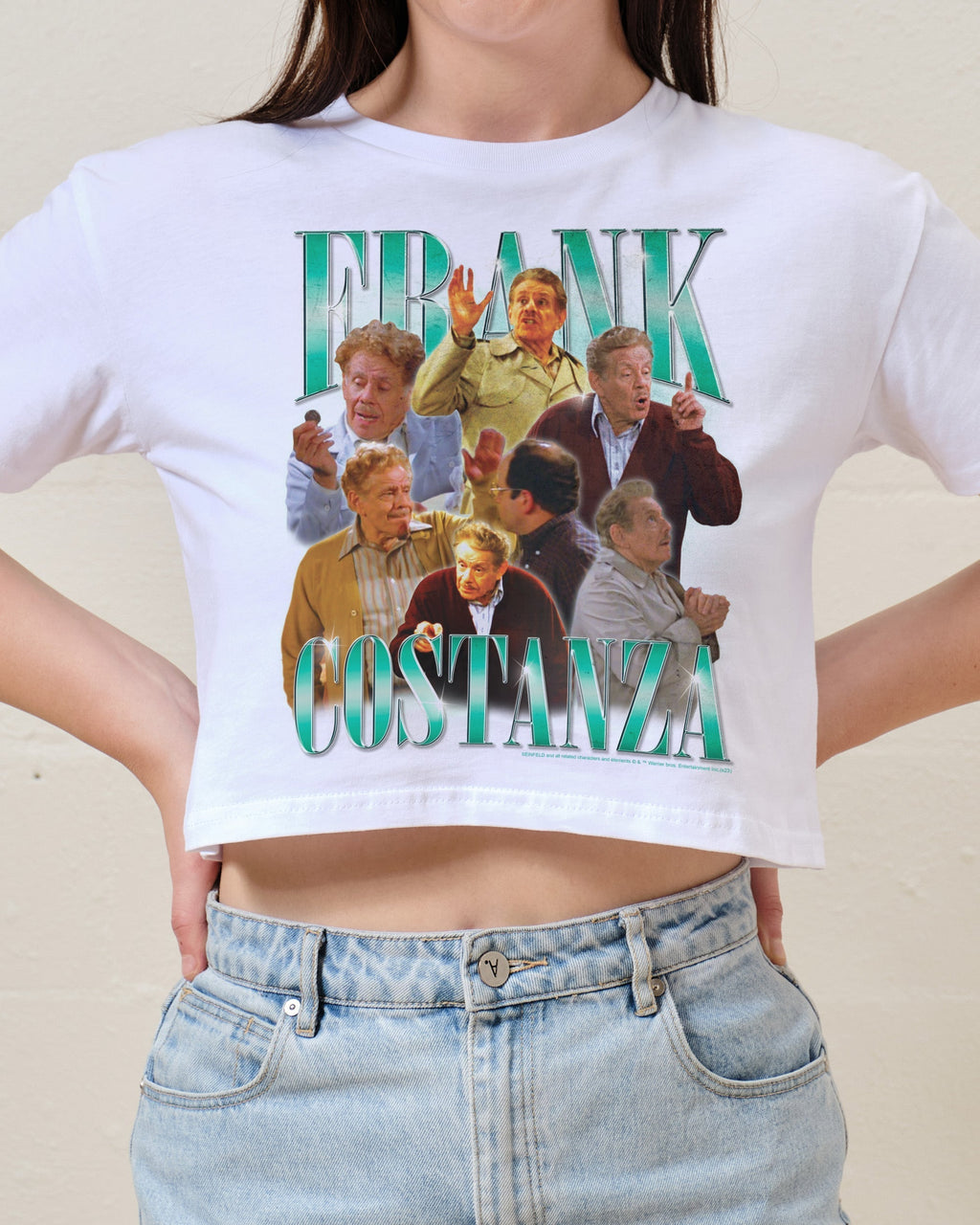 Vintage Frank Crop Tee product image 2
